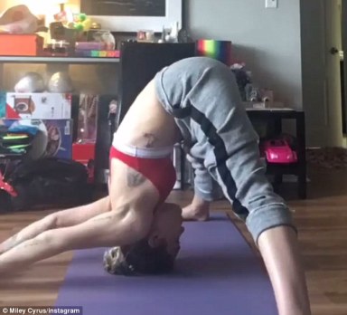 324a9a9500000578-3497489-image-m-67_1458238830174