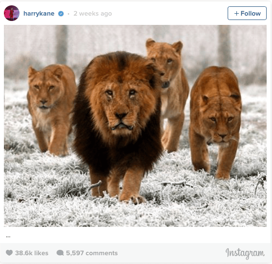 Screen Shot 2016-05-03 at 10.44.43